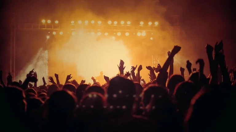 A crowd at a concert