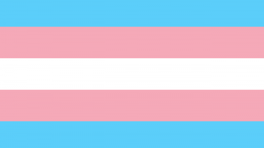 Trans Pride flag with pink, blue and white stripes