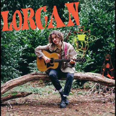Lorcan nelson playing a guitar and sitting on a tree branch in a wood